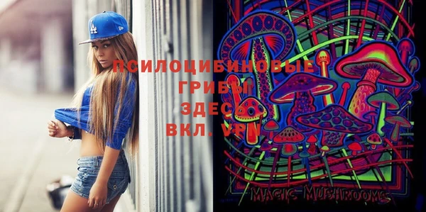 синтетический гашиш Верхний Тагил