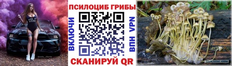 Галлюциногенные грибы мухоморы как найти закладки Шатура
